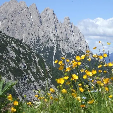 Martins Comfort 公寓 Assling